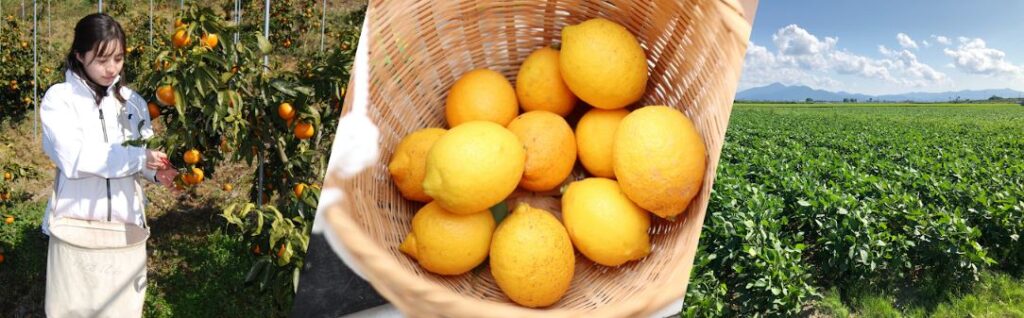 ANA農園プロジェクトinルイードタバーン‼‼ ANA農園プロジェクトinルイードタバーン‼‼