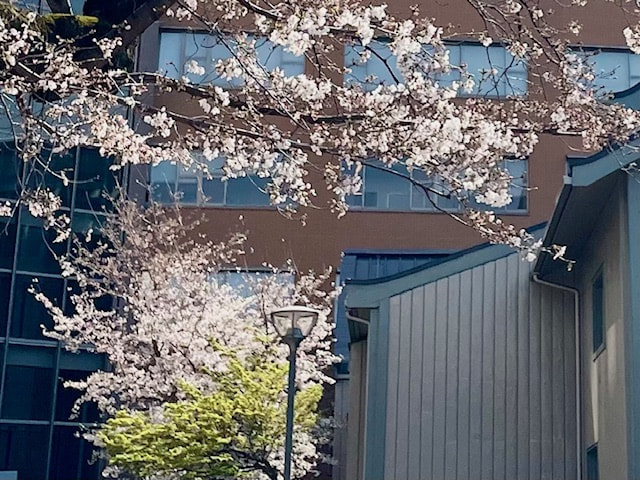 入学おめでとうございます‼貸切で懇親会できるのはルイードタバーン♪