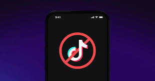 ダーツバー【ルイードタバーン】のTiktokが...バンされました...